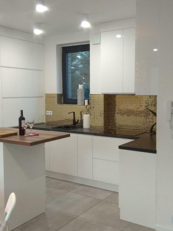 Luxury Apartment With Own Parking Chorzów Exteriör bild